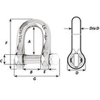 Wichard Captive Pin D Shackle  Diameter 8mm  516 1404W