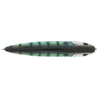 Berkley JWalker 120 Saltwater  HD Pinfish 1547892